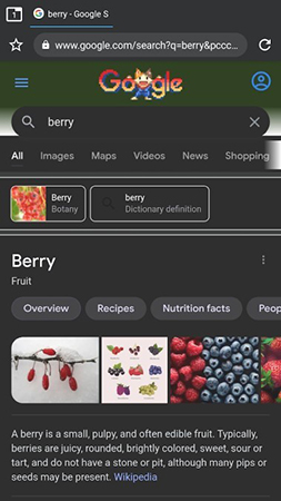 berry浏览器app截图