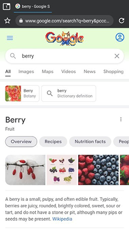 berry浏览器app截图