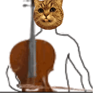 《抖音》猫咪弹奏乐器表情包汇总分享