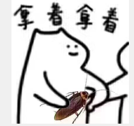 网络用语拿着拿着广东蟑螂是什么梗