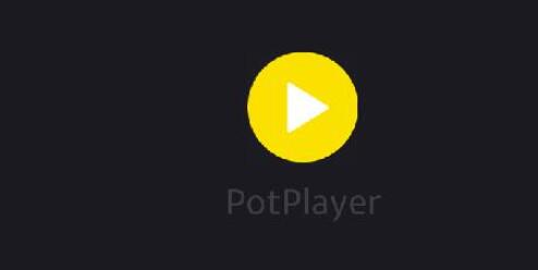 《PotPlayer》保持下—文件字幕同步的方法