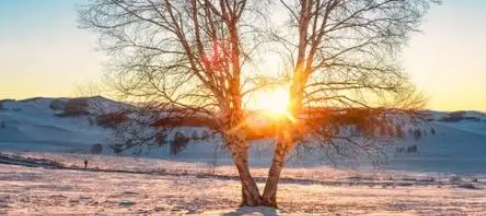 《冬天里的一缕阳光》700字高分作文欣赏