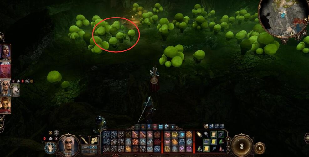《博德之门3》蘑菇猎人背包位置介绍