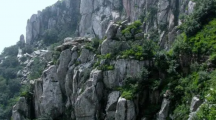 《登临泰山，拥抱自然》750字高中生优秀作文分享