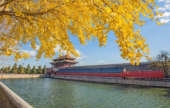 北京的秋.jpg