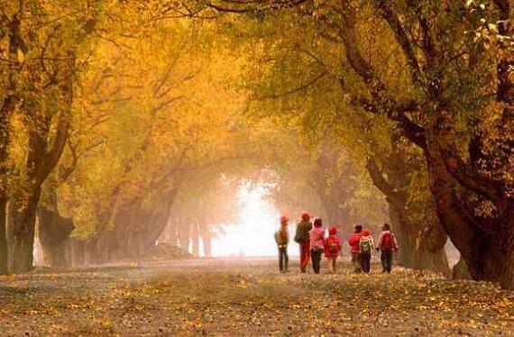 上学路上的秋景.jpg