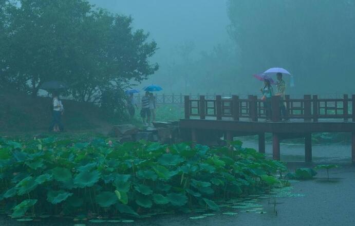 雨中即景.jpg