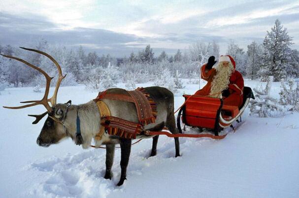 圣诞老人的驯鹿在工作.jpg