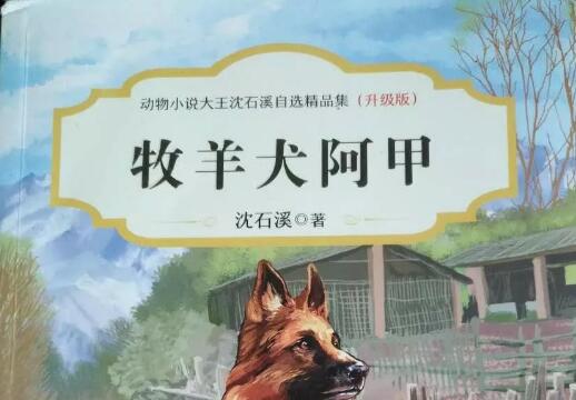 《牧羊犬阿甲》