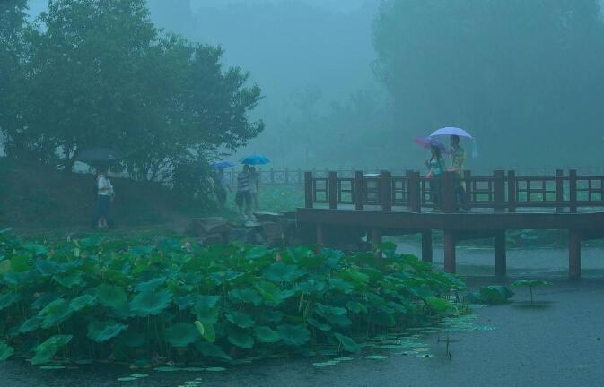 雨中即景.jpg