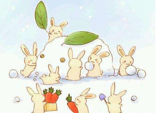 小白兔找萝卜.jpg