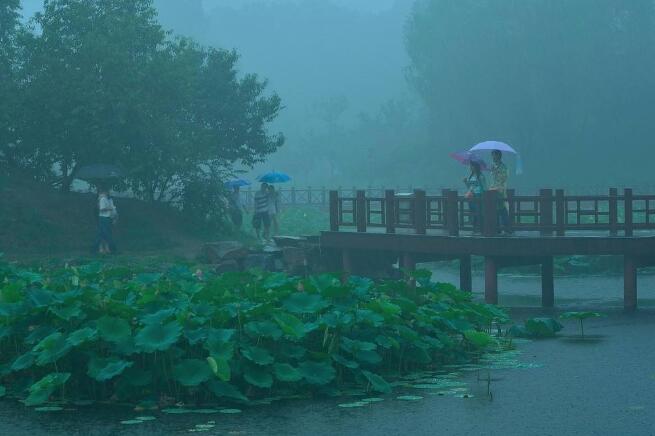 雨中即景.jpg