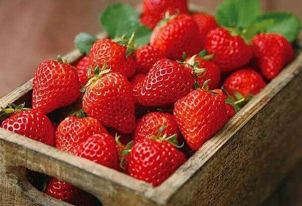 我爱吃的水果草莓.jpg