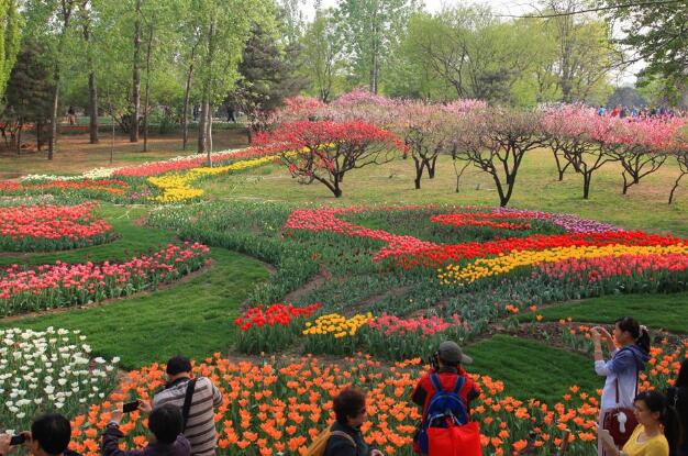 北京植物园.jpg