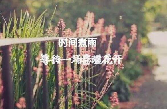 等待春暖花开.jpg