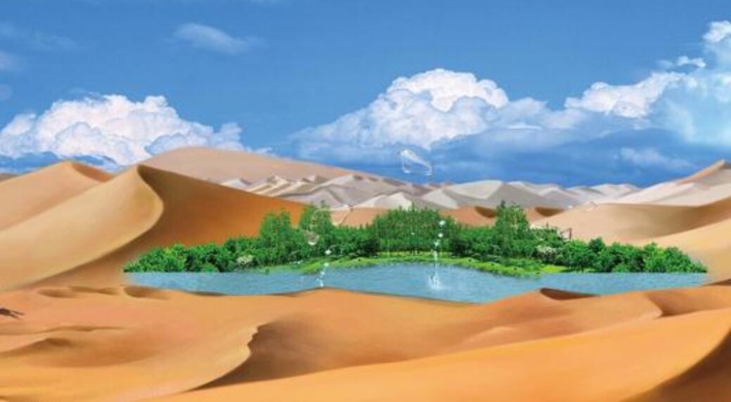沙漠里的童话.jpg