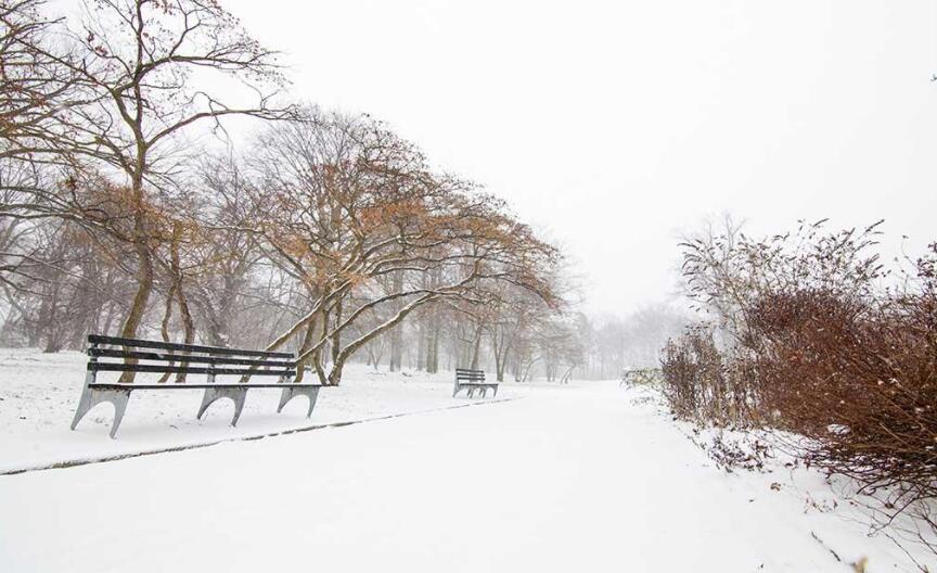 雪中即景.jpg