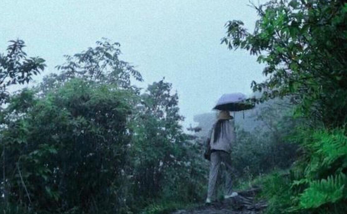 雨中登山.jpg