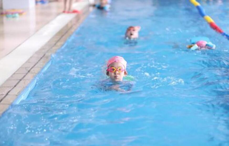 今年暑假我参加了泳之乐游泳夏令营.jpg