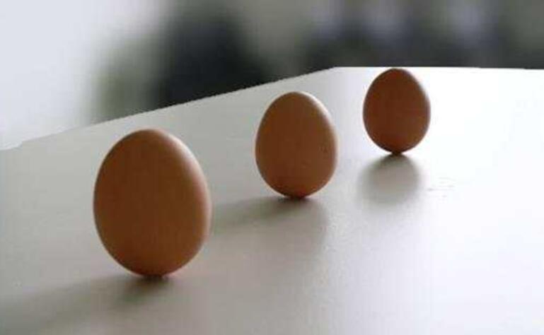 鸡蛋站立.jpg