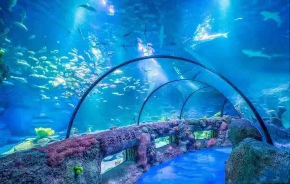 滕州海底世界海洋馆图片