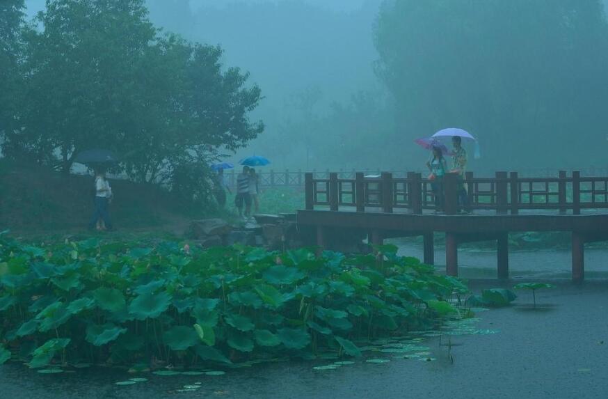 雨中即景.jpg