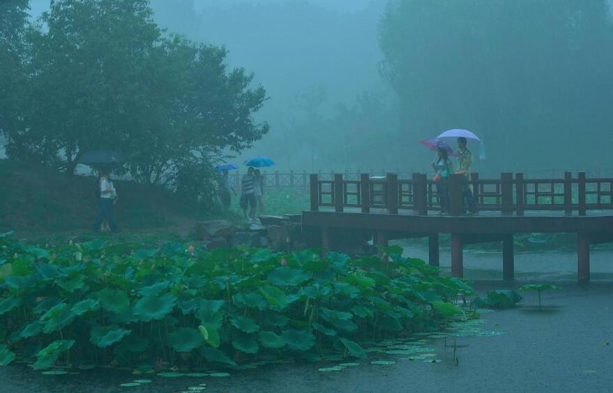 雨中即景.jpg