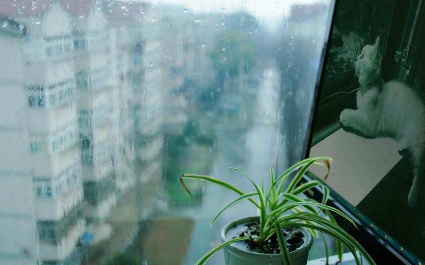 窗外的暴雨.jpg