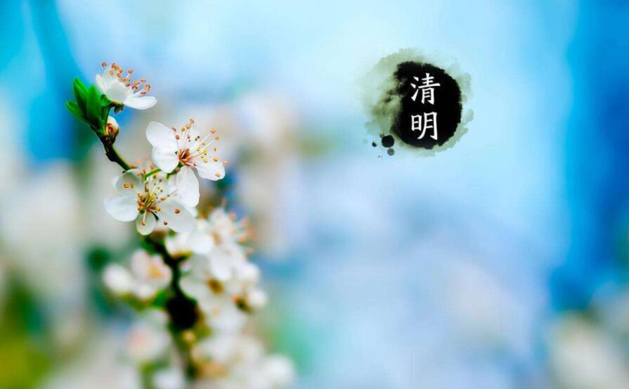 又逢清明节.jpg