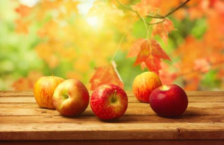 秋天的苹果.jpg