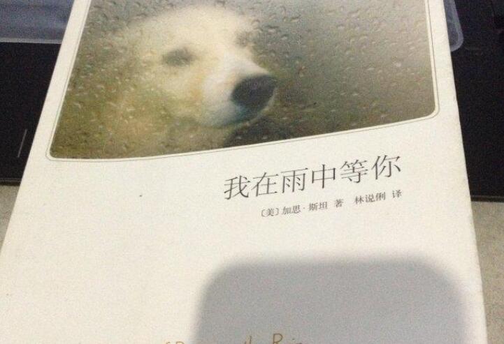 《我在雨中等你》书籍.jpg
