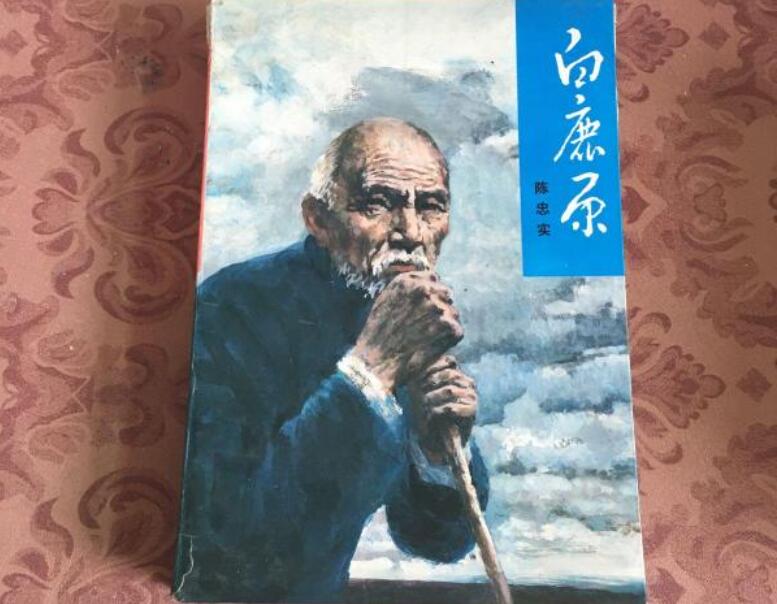 《白鹿原》书籍.jpg