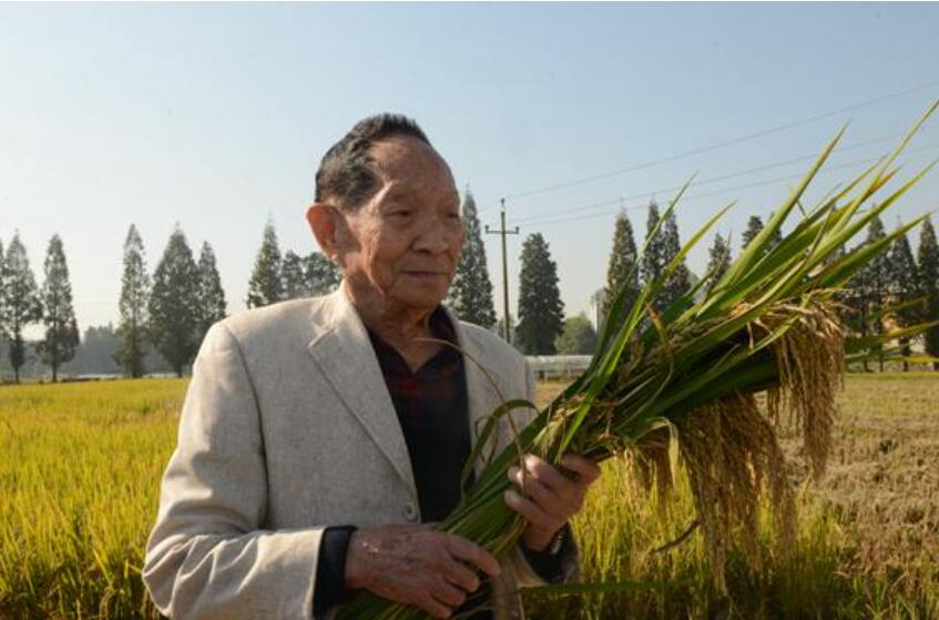 铭记袁隆平.jpg