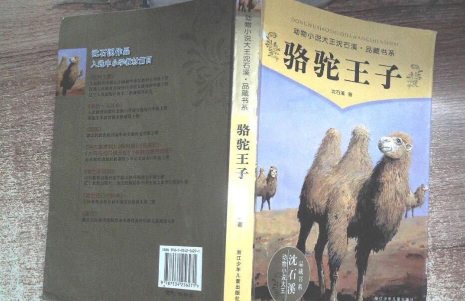 《骆驼王子》书籍.jpg