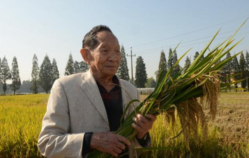 铭记袁隆平.jpg