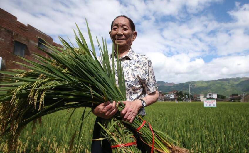 缅怀袁隆平.jpg