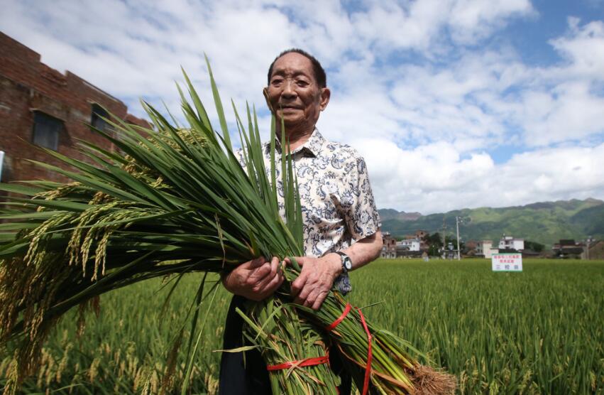 缅怀袁隆平.jpg